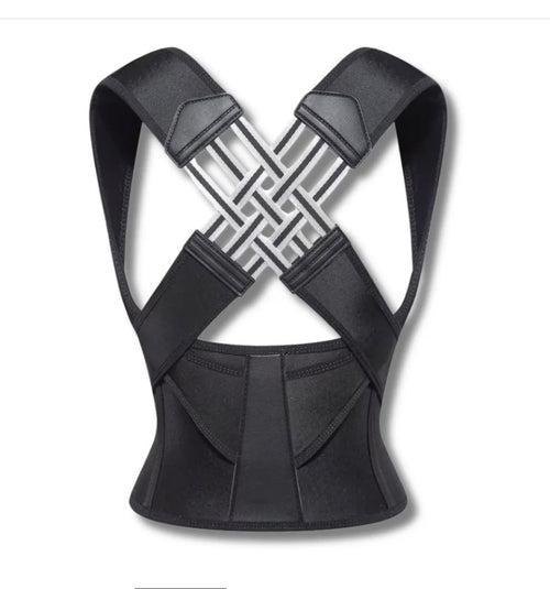 Ryggstöd från botarygg